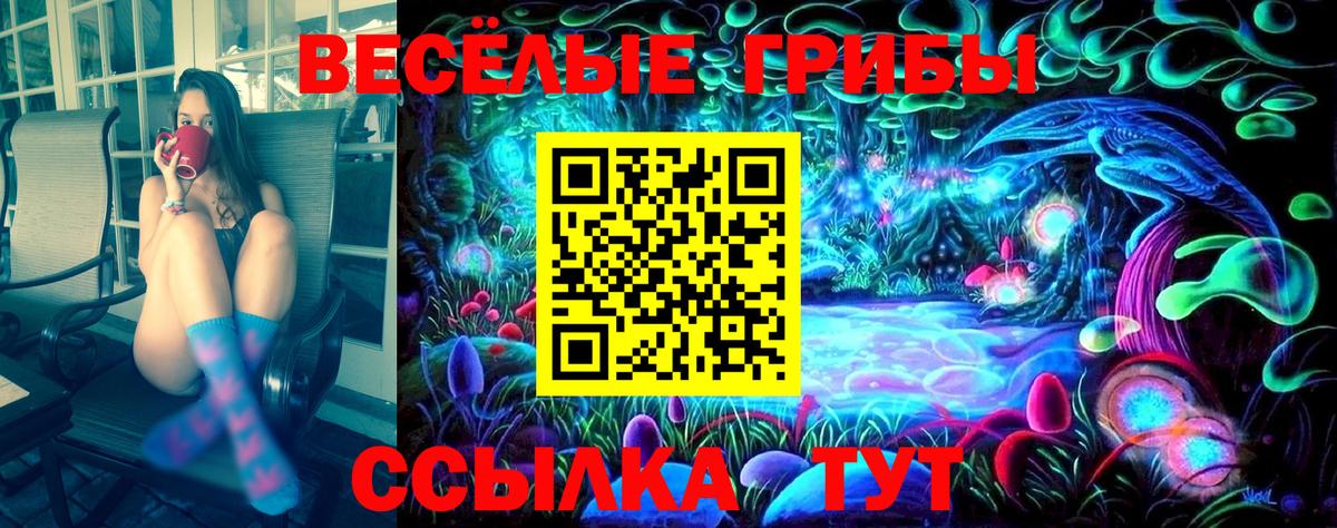 Псилоцибиновые грибы мицелий Калининград