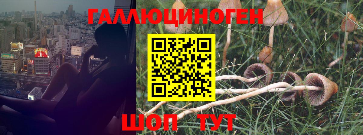 сколько стоит  Вход с VPN  Калининград  Псилоцибиновые грибы мухоморы 
