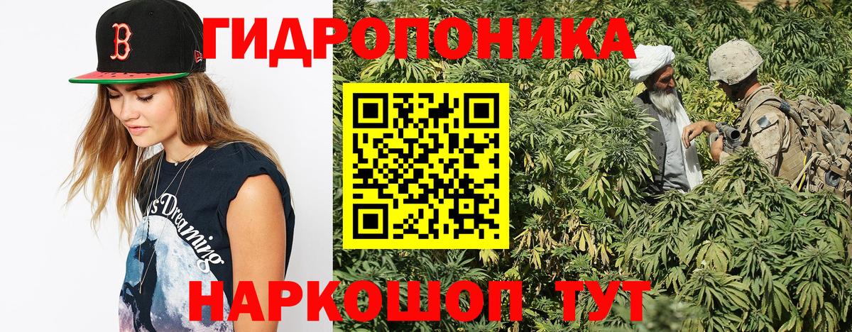 Шишки марихуана Ganja Калининград